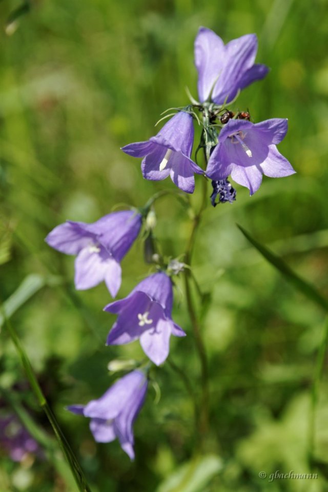 20120617_524